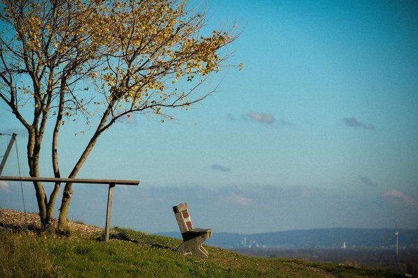 Hydratation et nutrition: clés d'une santé optimale